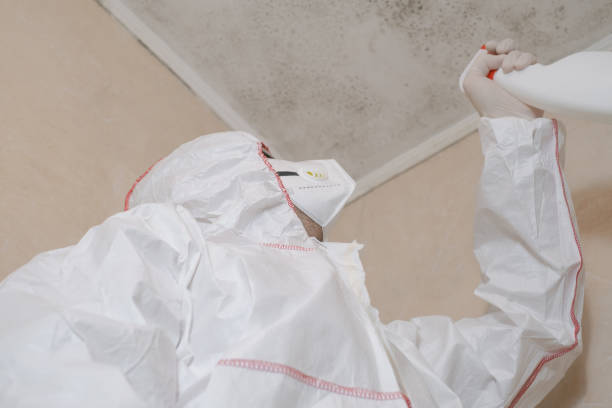 Best Mold Remediation for Specific Building Types in Sand Ridge, NY